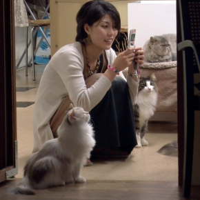 Paying for Petting Time in Japan’s Cat Cafes, Time.com