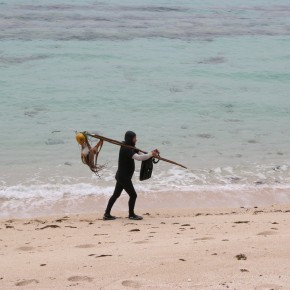 Catch of the Day, Okinawa