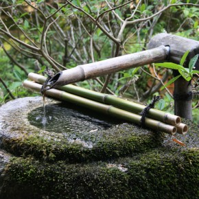 Hosenin Temple, Kyoto