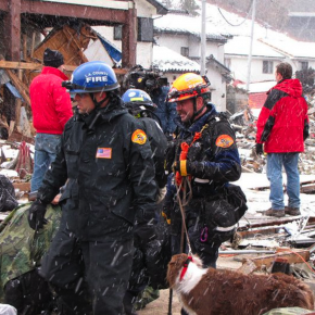 L.A. Firefighters and Search Dogs Participate in Rescue Effort in Japan, Patch.com