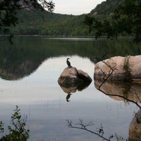 Acadia National Park, Maine